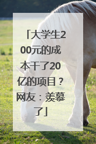 大学生200元的成本干了20亿的项目？网友：羡慕了