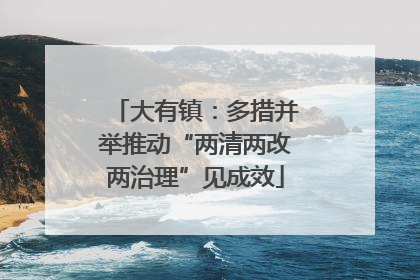 大有镇：多措并举推动“两清两改两治理”见成效