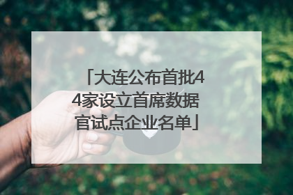 大连公布首批44家设立首席数据官试点企业名单