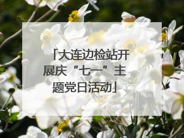 大连边检站开展庆“七一”主题党日活动