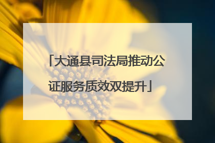 大通县司法局推动公证服务质效双提升