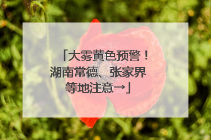 大雾黄色预警！湖南常德、张家界等地注意→