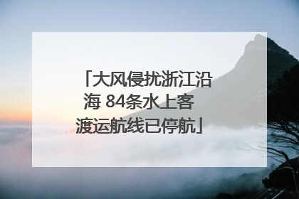 大风侵扰浙江沿海 84条水上客渡运航线已停航