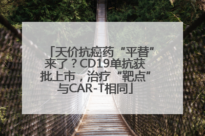 天价抗癌药“平替”来了？CD19单抗获批上市，治疗“靶点”与CAR-T相同