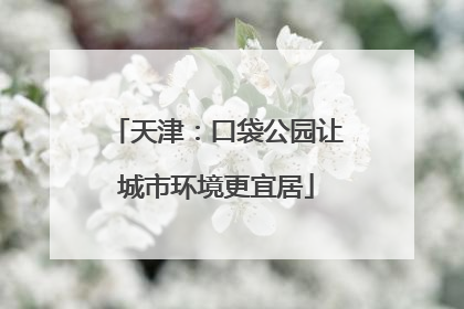 天津：口袋公园让城市环境更宜居