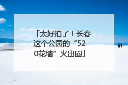 太好拍了！长春这个公园的“520花墙”火出圈