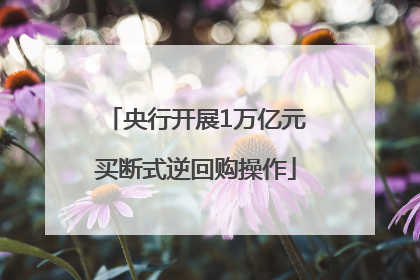 央行开展1万亿元买断式逆回购操作