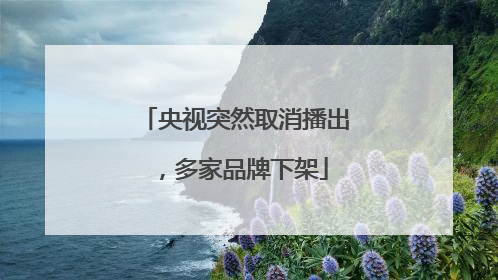 央视突然取消播出，多家品牌下架