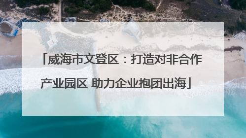 威海市文登区：打造对非合作产业园区 助力企业抱团出海