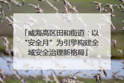威海高区田和街道：以“安全月”为引擎构建全域安全治理新格局