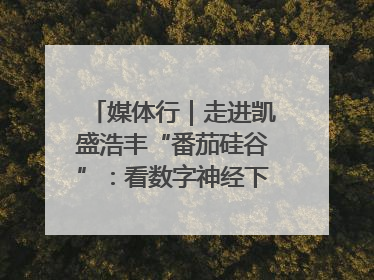 媒体行｜走进凯盛浩丰“番茄硅谷”：看数字神经下的精准农业