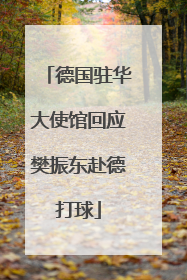 德国驻华大使馆回应樊振东赴德打球