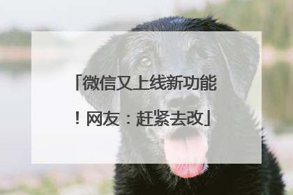 微信又上线新功能！网友：赶紧去改