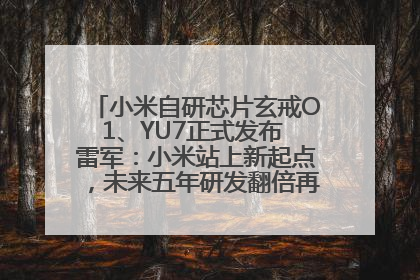 小米自研芯片玄戒O1、YU7正式发布 雷军：小米站上新起点，未来五年研发翻倍再投2000亿元