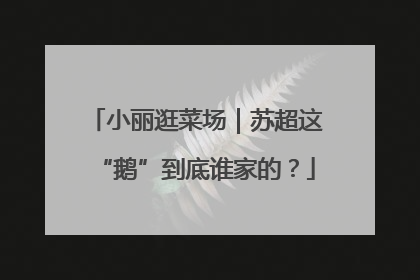 小丽逛菜场｜苏超这“鹅”到底谁家的？
