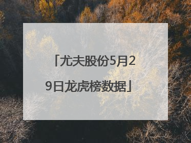 尤夫股份5月29日龙虎榜数据