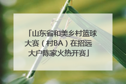 山东省和美乡村篮球大赛（村BA）在招远大户陈家火热开赛