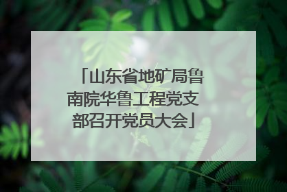 山东省地矿局鲁南院华鲁工程党支部召开党员大会