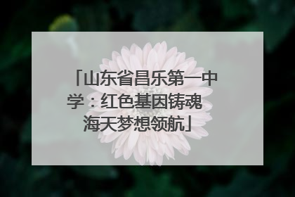 山东省昌乐第一中学：红色基因铸魂 海天梦想领航