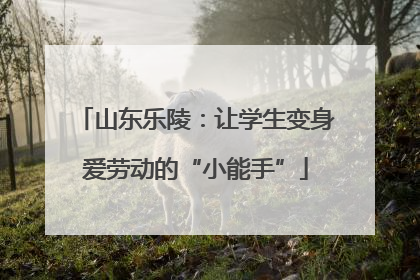 山东乐陵：让学生变身爱劳动的“小能手”