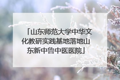 山东师范大学中华文化教研实践基地落地山东新中鲁中医医院