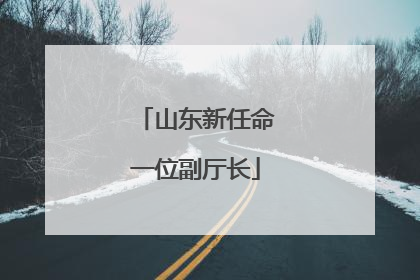 山东新任命一位副厅长