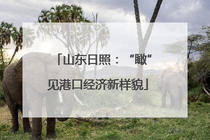 山东日照：“瞰”见港口经济新样貌