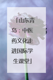 山东青岛：中医药文化走进国际学生课堂