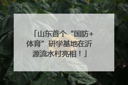 山东首个“国防+体育”研学基地在沂源流水村亮相！
