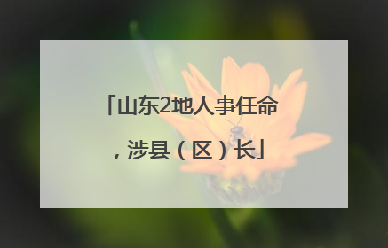 山东2地人事任命，涉县（区）长