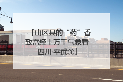 山区县的“药”香致富经丨万千气象看四川·平武③