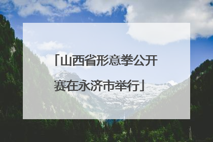 山西省形意拳公开赛在永济市举行