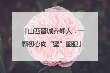 山西晋城养蜂人：一颗初心向“蜜”图强