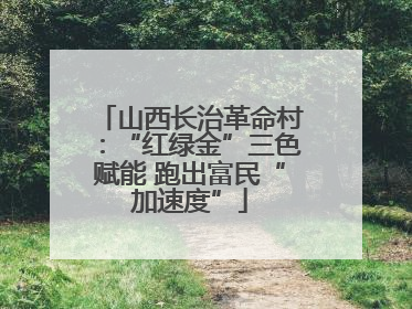 山西长治革命村：“红绿金”三色赋能 跑出富民“加速度”