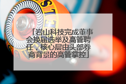 岩山科技完成董事会换届选举及高管聘任，核心层由头部券商背景的高管掌控