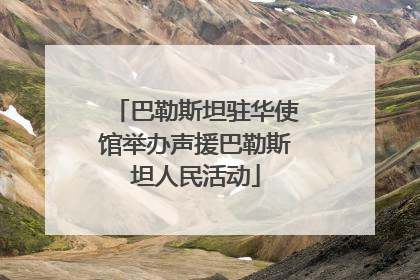 巴勒斯坦驻华使馆举办声援巴勒斯坦人民活动