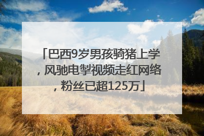 巴西9岁男孩骑猪上学，风驰电掣视频走红网络，粉丝已超125万