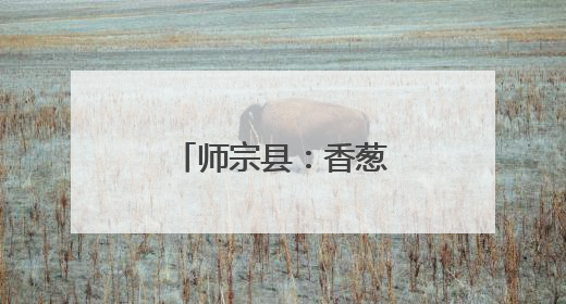 师宗县：香葱产业一路鲜