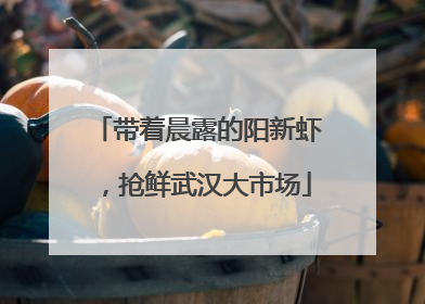 带着晨露的阳新虾，抢鲜武汉大市场