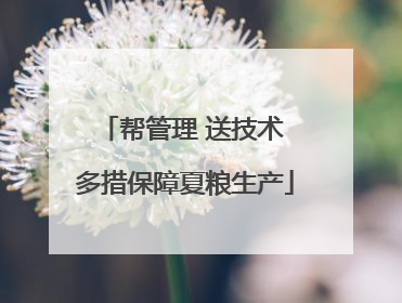 帮管理 送技术 多措保障夏粮生产