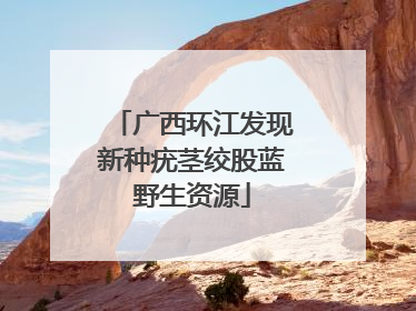 广西环江发现新种疣茎绞股蓝野生资源