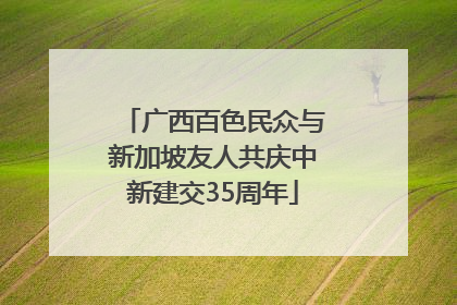 广西百色民众与新加坡友人共庆中新建交35周年
