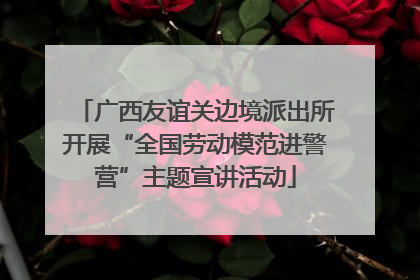 广西友谊关边境派出所开展“全国劳动模范进警营”主题宣讲活动