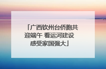 广西钦州台侨胞共迎端午 看运河建设感受家国强大