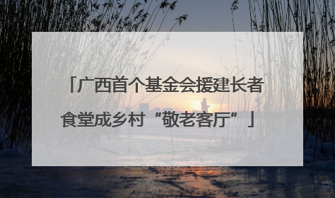 广西首个基金会援建长者食堂成乡村“敬老客厅”