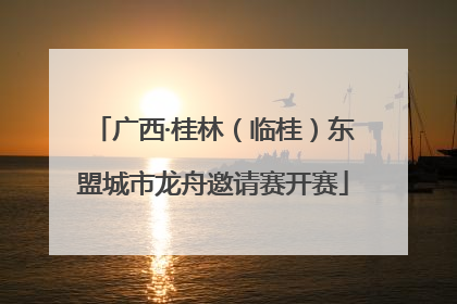 广西·桂林（临桂）东盟城市龙舟邀请赛开赛