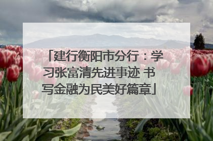 建行衡阳市分行：学习张富清先进事迹 书写金融为民美好篇章