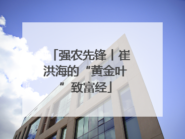 强农先锋丨崔洪海的“黄金叶”致富经