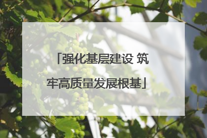 强化基层建设 筑牢高质量发展根基
