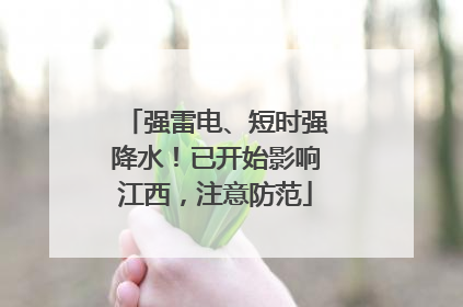 强雷电、短时强降水！已开始影响江西，注意防范